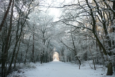 Sneeuw Sneeuw